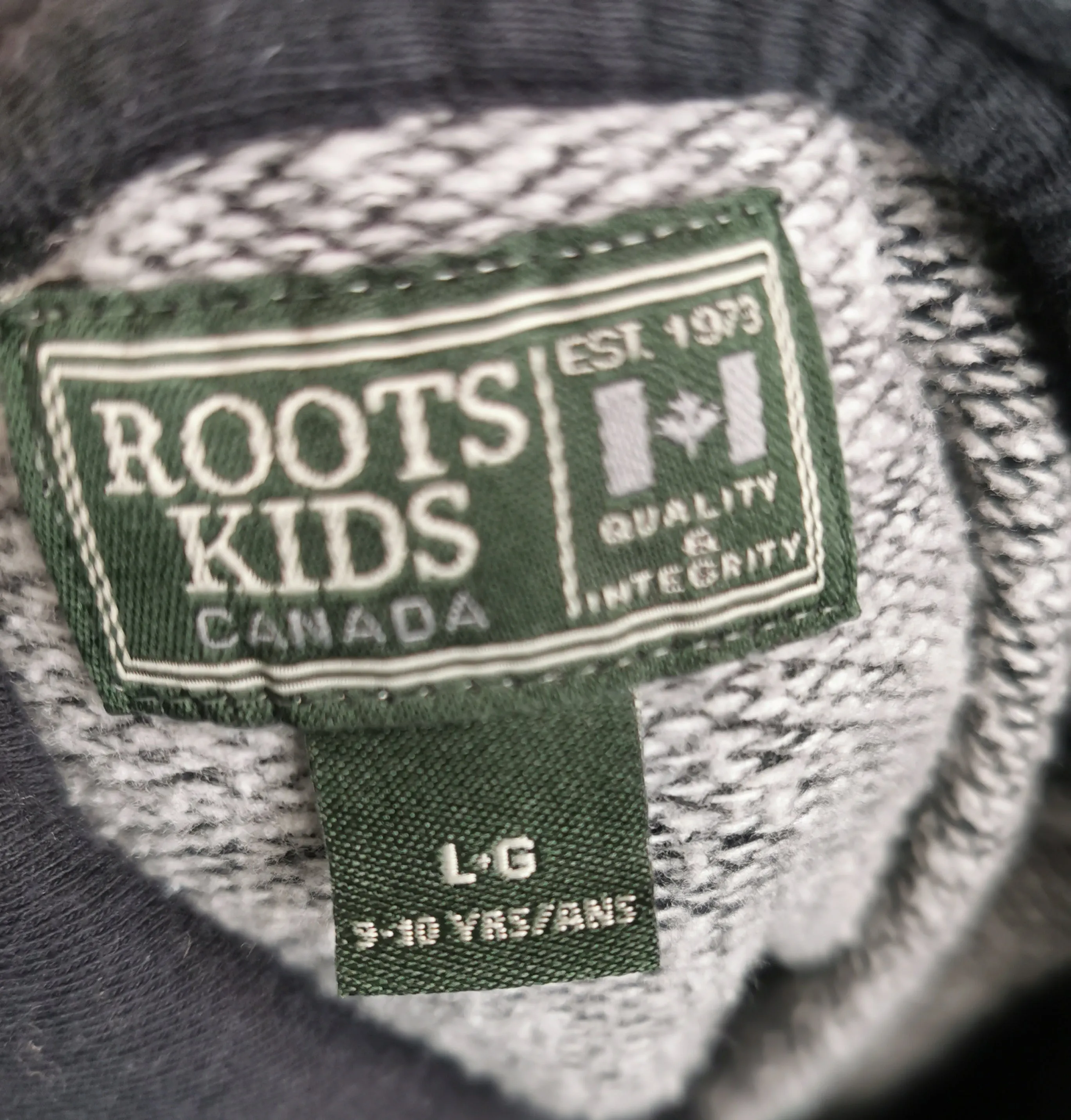 BOY SIZE LARGE (9/10 YEARS) - ROOTS Kids, Zippered Hoodie VGUC B3