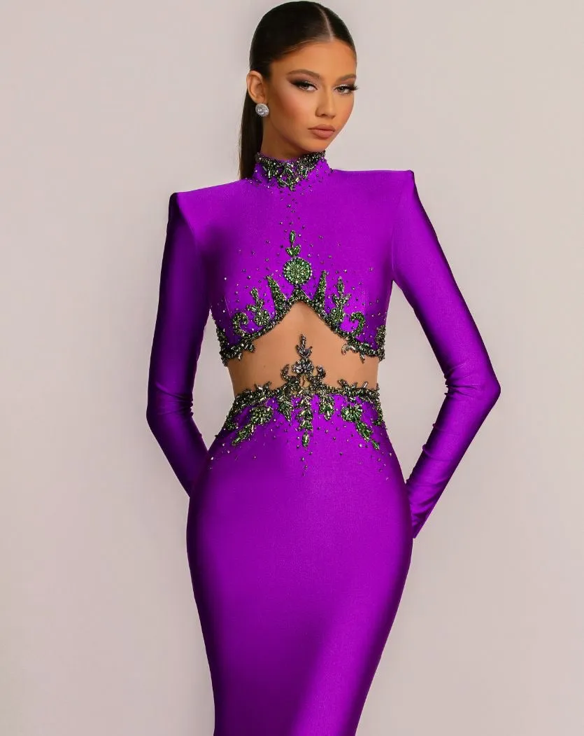 Clarissa High Neck Long Sleeves BeautiFul Purple Evening Dress