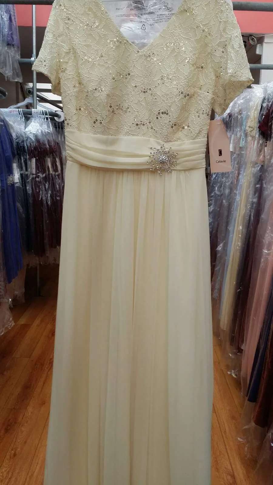 Long Lace Bodice Dress with Short Sleeves by Celavie 6320L