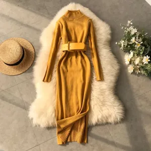 Snythia High Neck Bodycon Dress
